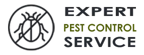 Pro Exterminator Company  Hialeah FL